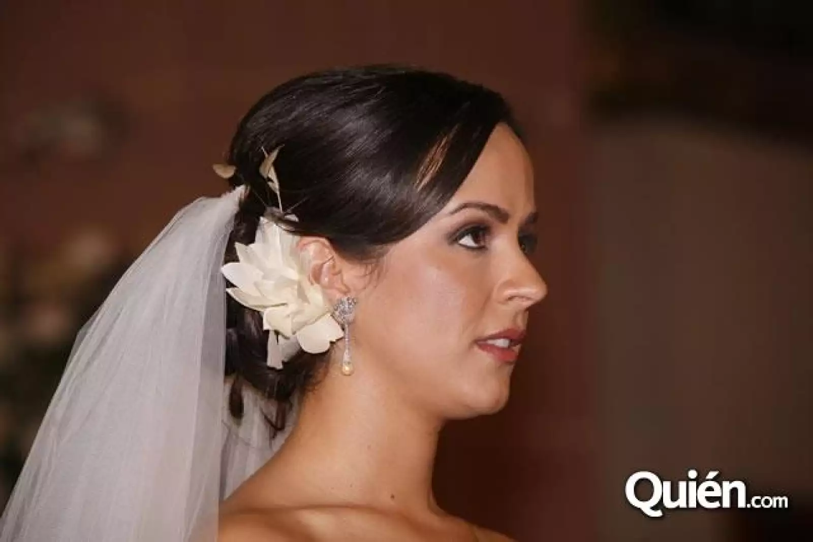 Boda Rodrigo Campos, Alejandra Zubiaur.