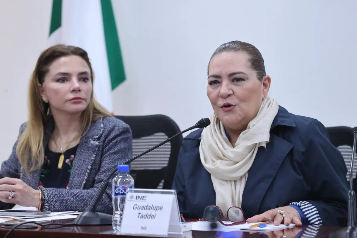 La consejera Guadalupe Taddei