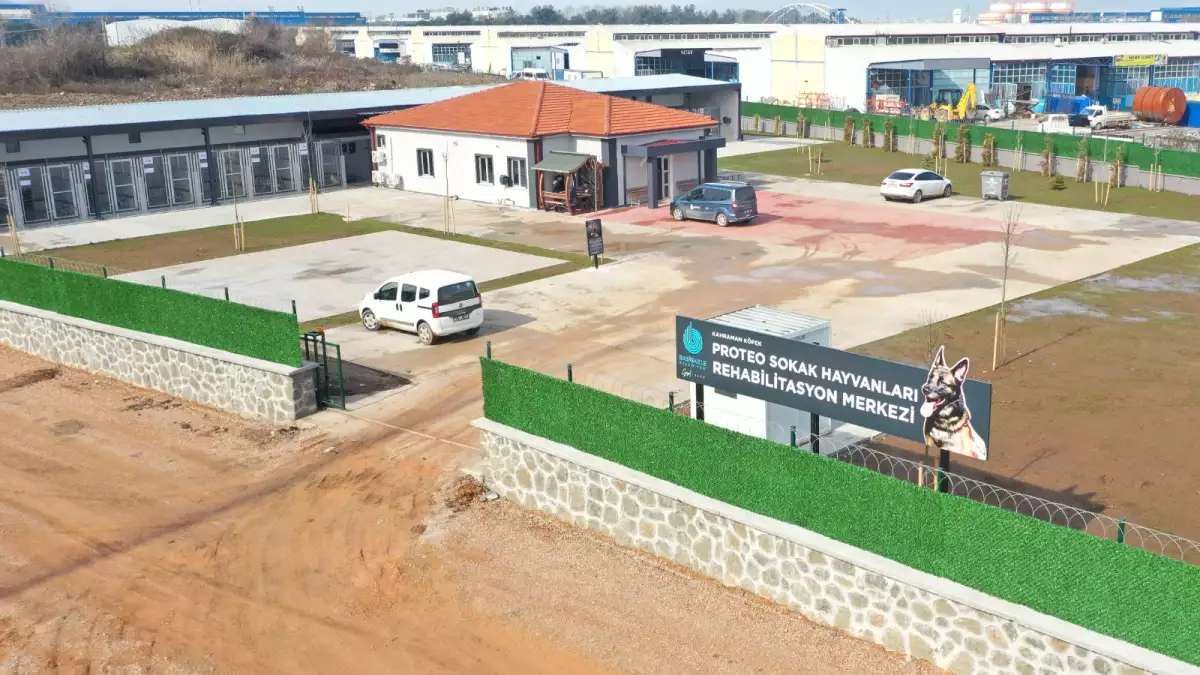 centro-rehabilitacion-animal-turquia-proteo.jpg