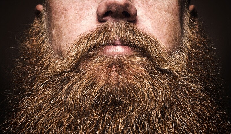 Barba