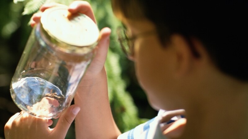 ciencia proyecto