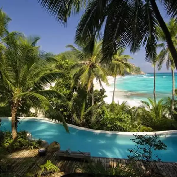 La alberca del hotel está rodeada por un suelo de teka. Sus formas redondeadas se funden perfectamente en la vegetación.
