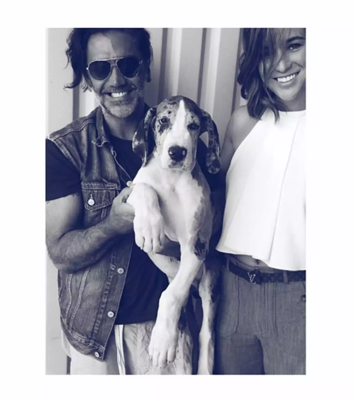 La novia de "El Potrillo" decidió regalarle un gran danés en su cumpleaños.