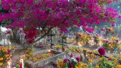 Los mejores destinos para celebrar el Día de Muertos 
