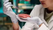 Carne cultivada, un nuevo paradigma