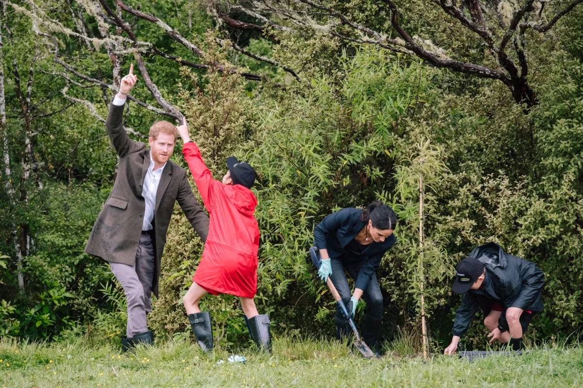 Harry Meghan plantando árboles Nueva Zelanda 2018