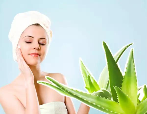 El aloe vera tiene propiedades hidratantes haciéndolo ideal para humectar la piel reseca.