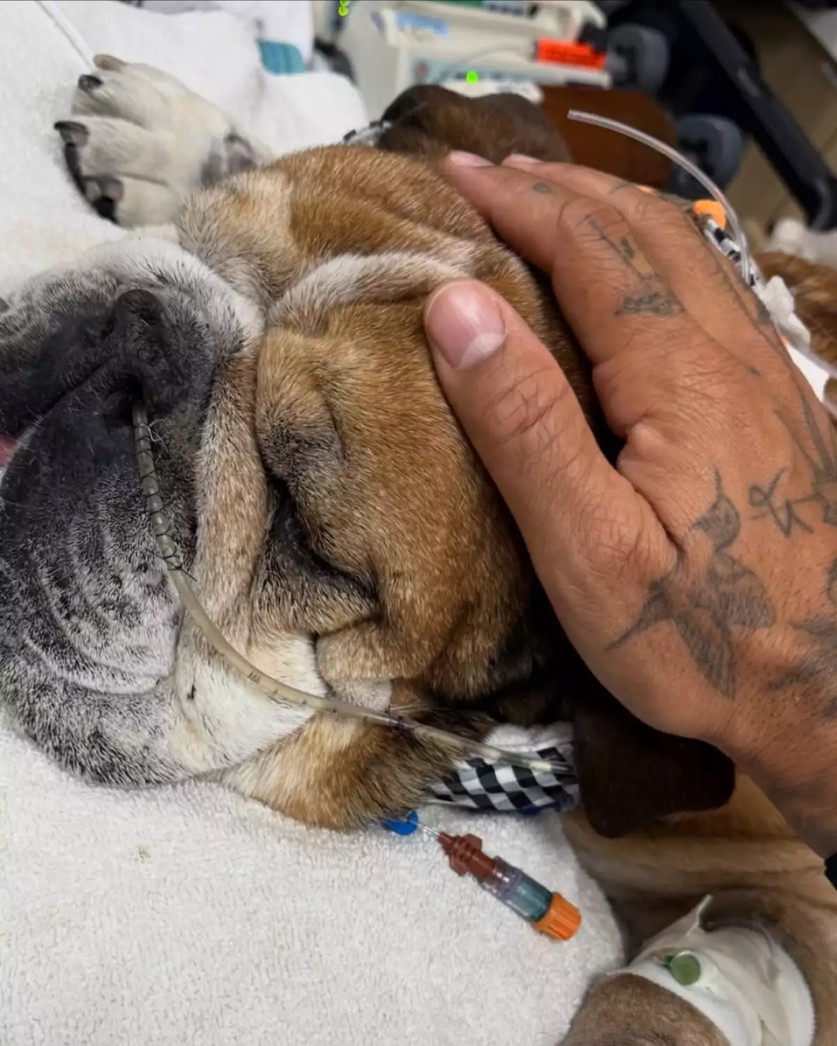 Roscoe-Hamilton-Hospitalizado.jpg