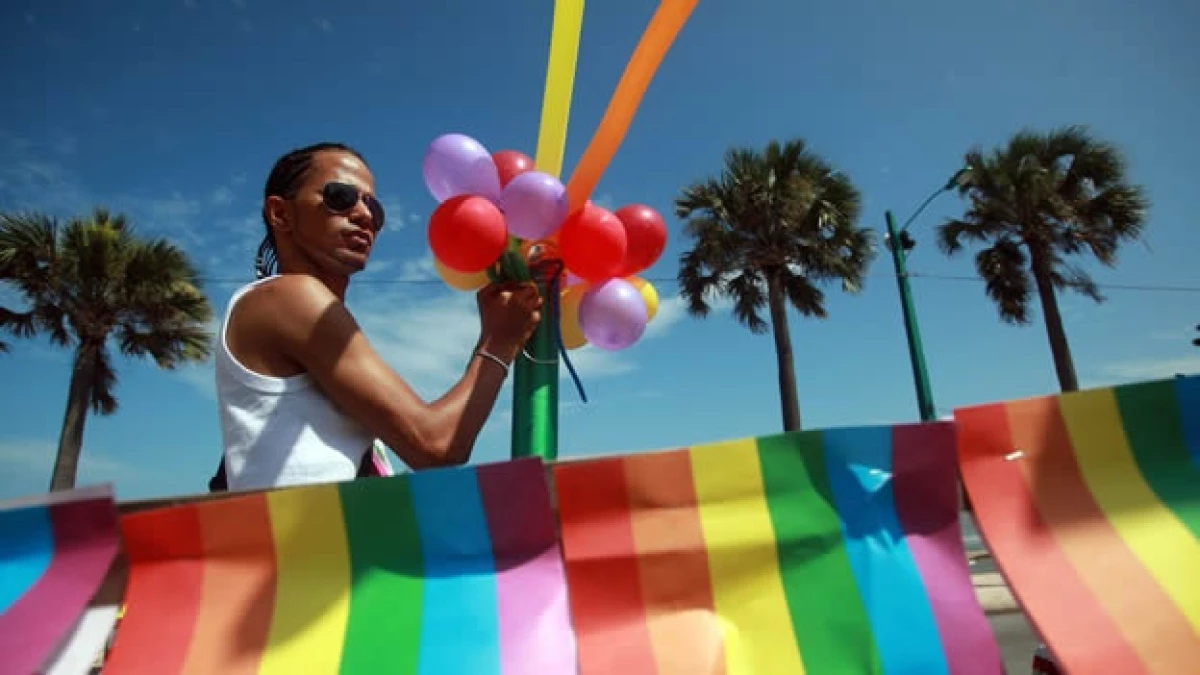 Gays - orgullo