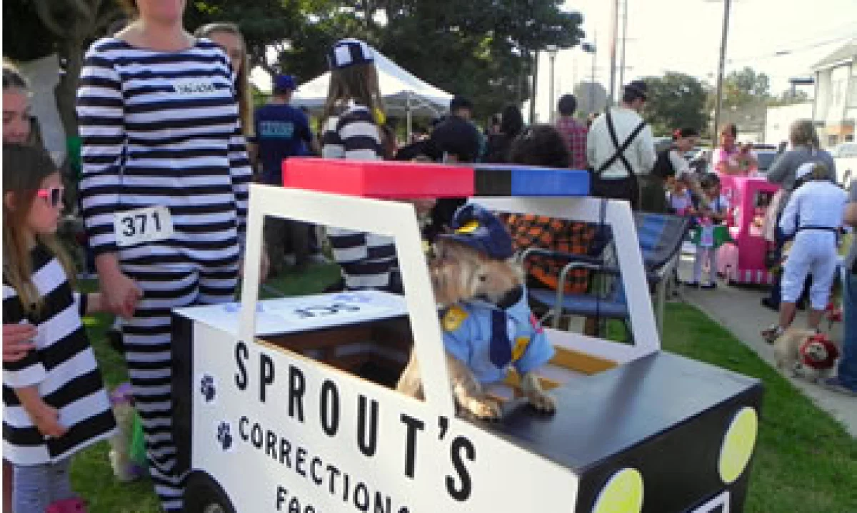 Ciudades como Long Beach tienen su desfile con mascotas. (Foto: EFE)