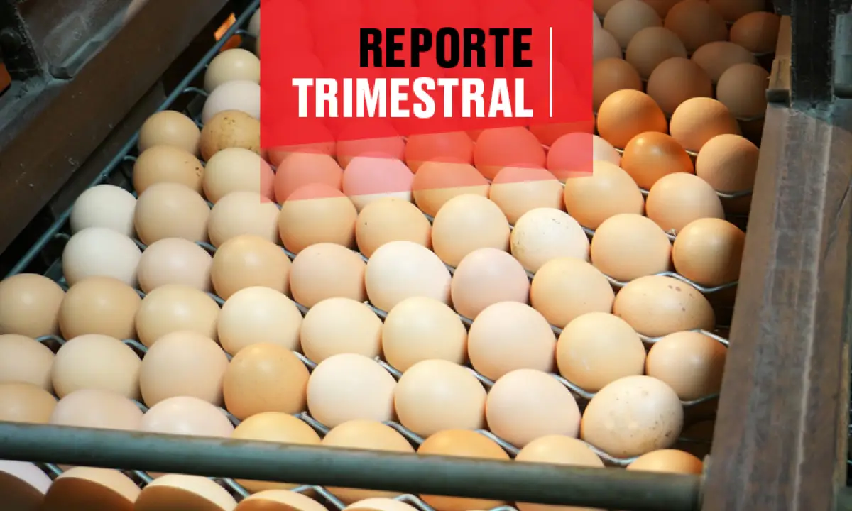 Reporte Bachoco