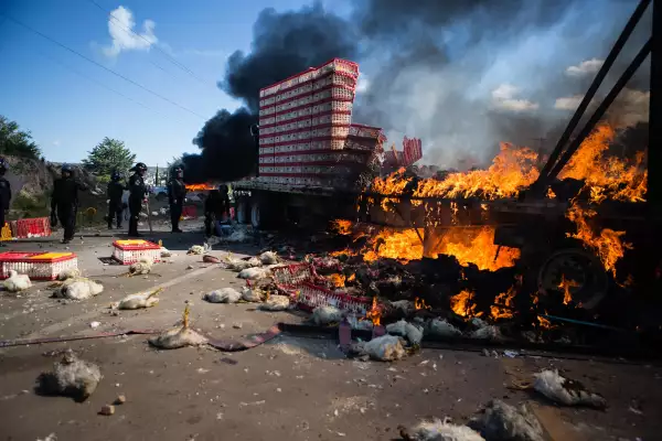 Los bloqueos en las carreteras de la zona del Istmo y los Valles Centrales de Oaxaca han generado encarecimiento y desabasto de productos básicos, según los empresarios.