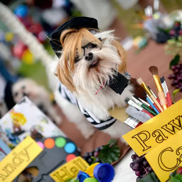 Haute Dog Howl'oween Parade