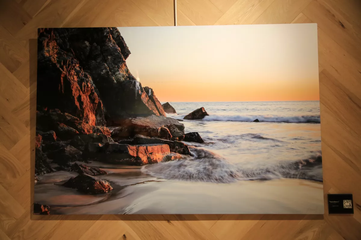 EXPO JOHANNA ELÍAS SLIM 04.JPG