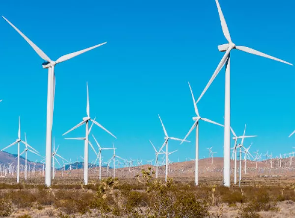 parque e�lico en el desierto