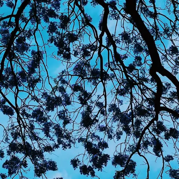 WhatsApp Image 2020-03-08 at 7.31.10 PM