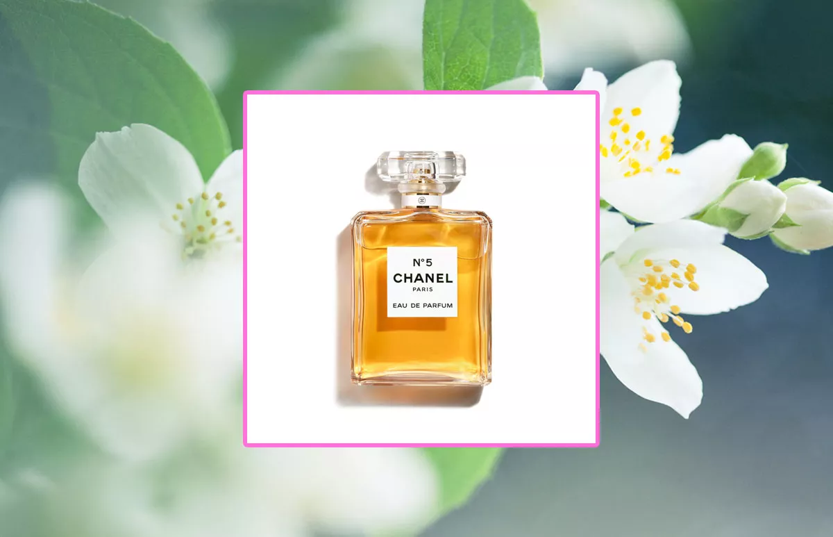 chanel jazmín grasse perfume no 5