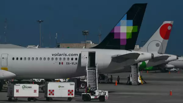 Las acciones de las empresas del sector aéreo mexicano han caído con fuerza y analistas creen que podrían seguir bajo presión debido a la incertidumbre sobre el impacto de un llamado a revisión de aeronaves que dejaría durante varios meses decenas de unidades en tierra.