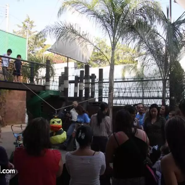 Cumplea?Patricio Goyeneche