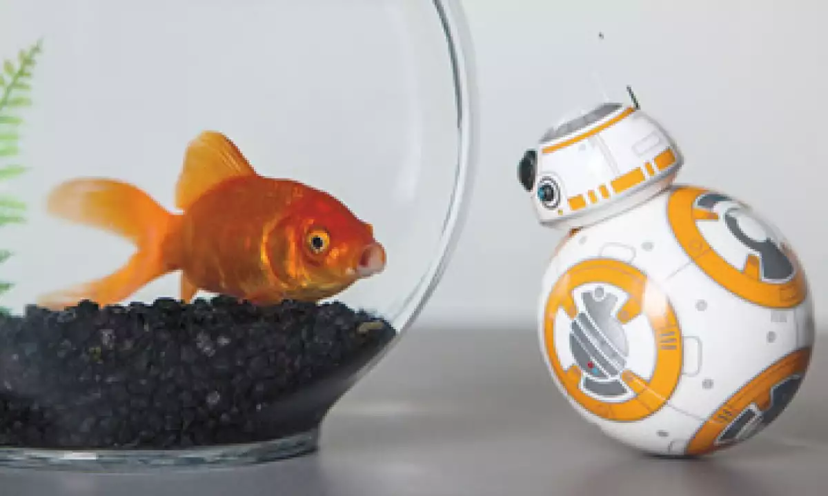 BB-8 comenzará a venderse este viernes en el #ForceFriday (Foto: Cortesía/Sphero )