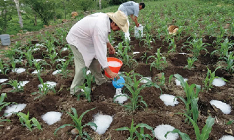 La lluvia sólida logra aumentar cinco veces la productividad de los cultivos de maíz. (Foto: Especial)