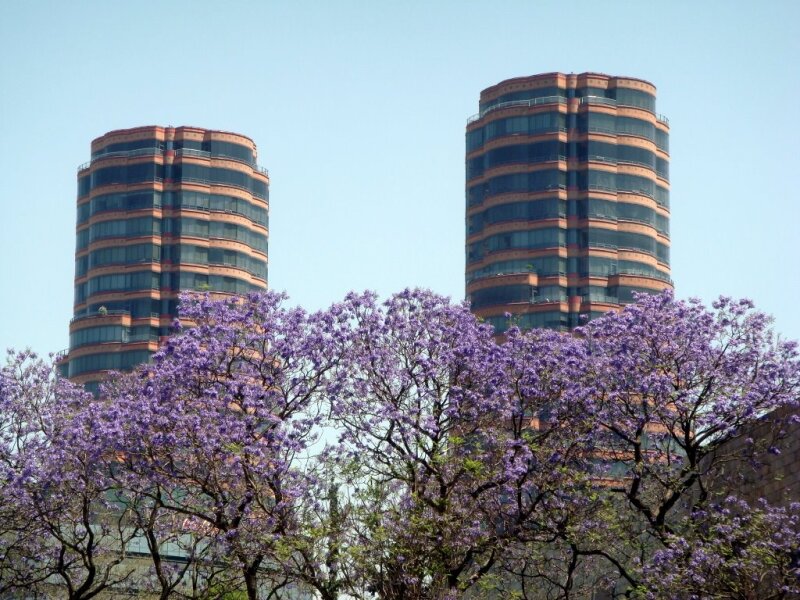 Torres Gemelas Polanco - César Pelli