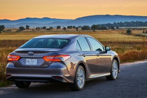 Camry Híbrido 2019