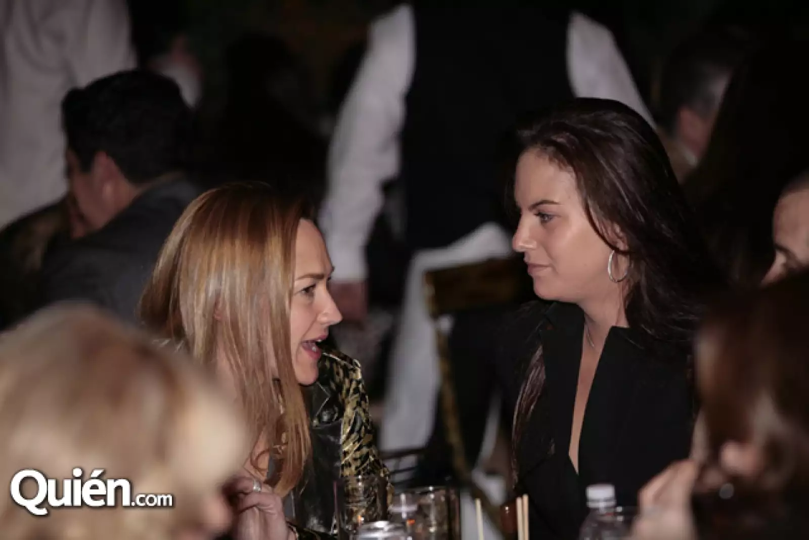 Patricia Vargas,Vanessa Schekaiban