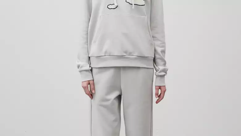 4_cloudsset_model2.jpg