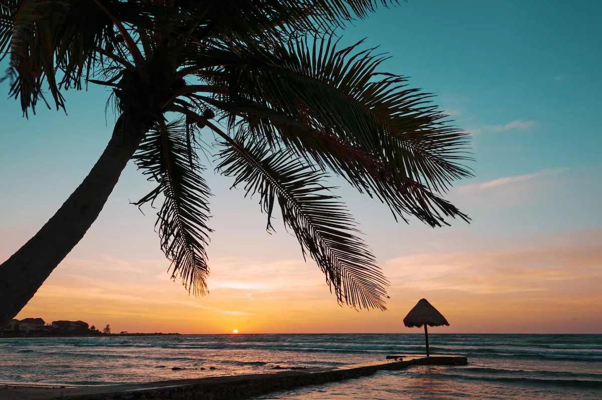 Palapa and palm tree on tropical beach at sunrise, Mayan Riviera, Mexico, Puerto Aventuras