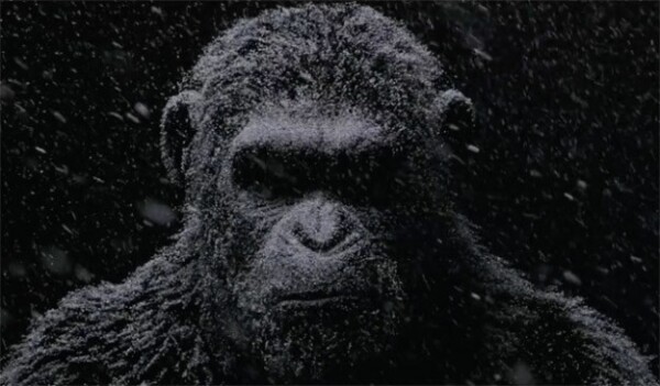 War of the Planet of the Apes