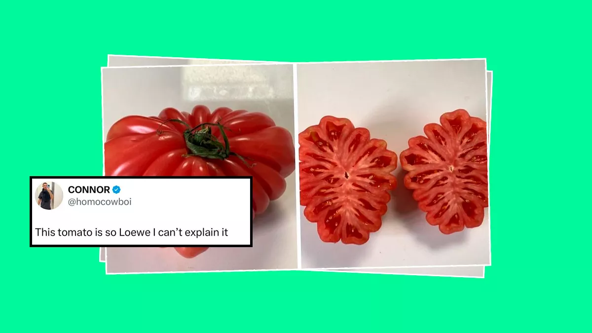 El jitomate Loewe que está rompiendo el internet y Jonathan Anderson aprueba