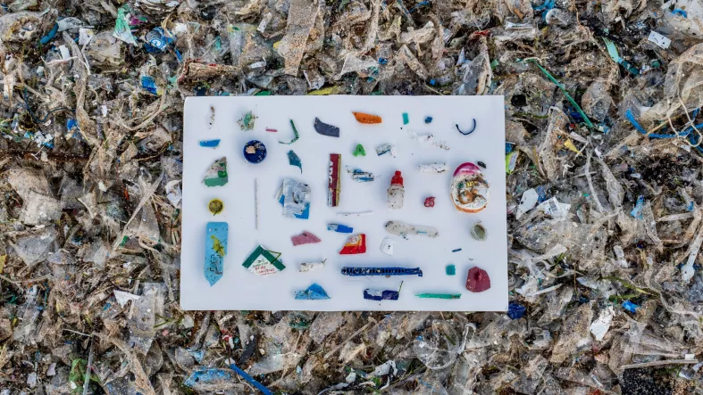 The Plastics In Our Seas: What We Throw Away