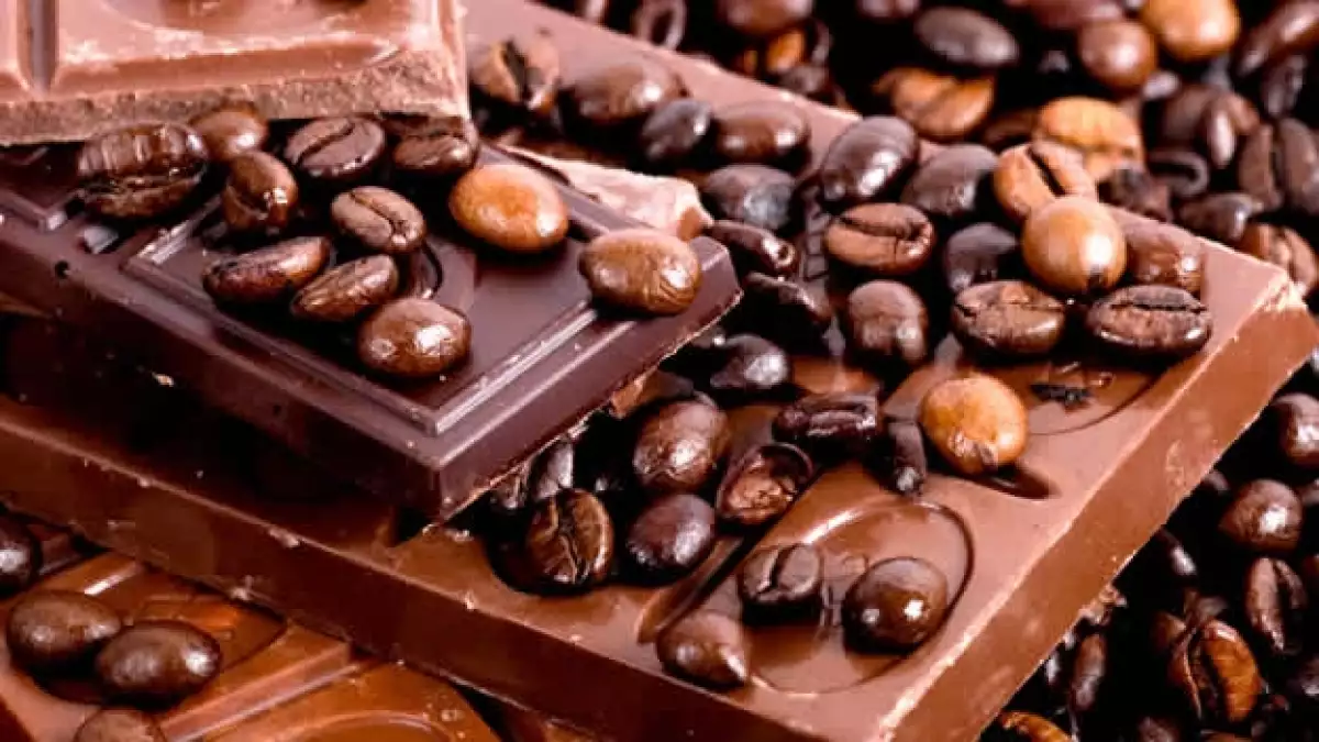 granos de cacao chocolate