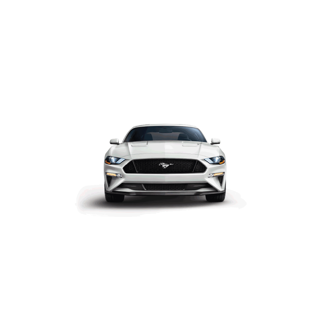 Mustang multicolor