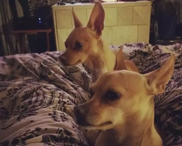 Liliana Sada con Pintita y Rosita