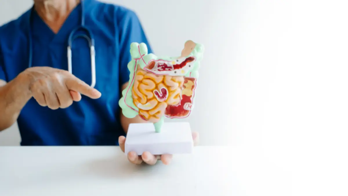 como cuidar tu flora intestinal.png