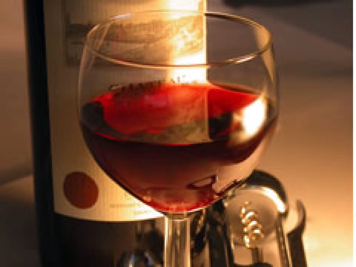 Aprende a disfrutar de un buen vino. (Foto: www.experimenta.com.mx)