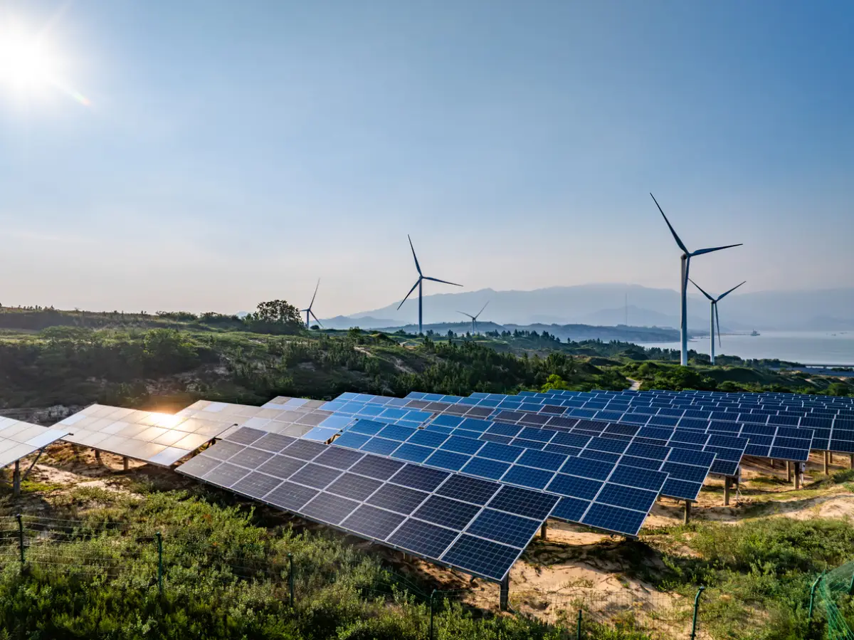 Fiebre por CFE: empresas privadas crean sobredemanda de 581% por proyectos de generación eléctrica mixta