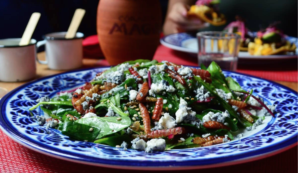 Ensalada de gusanos de maguey