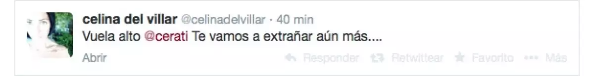 Celina del Villar, socialité.