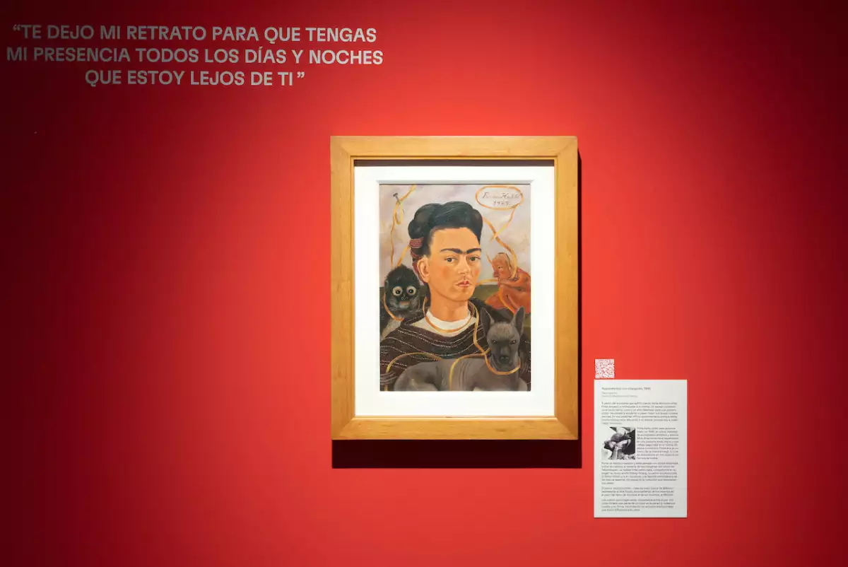 CME_FRIDA_KAHLO_PRENSA007