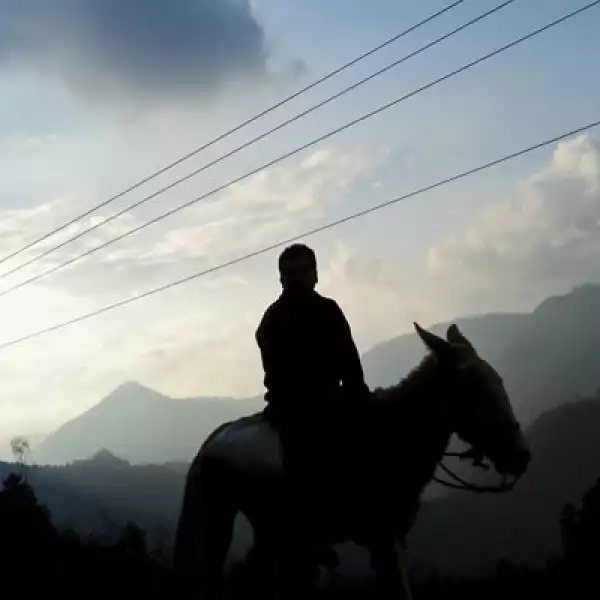 El grupo de niños que participaron en el proyecto van de los 8 a los 15 años.