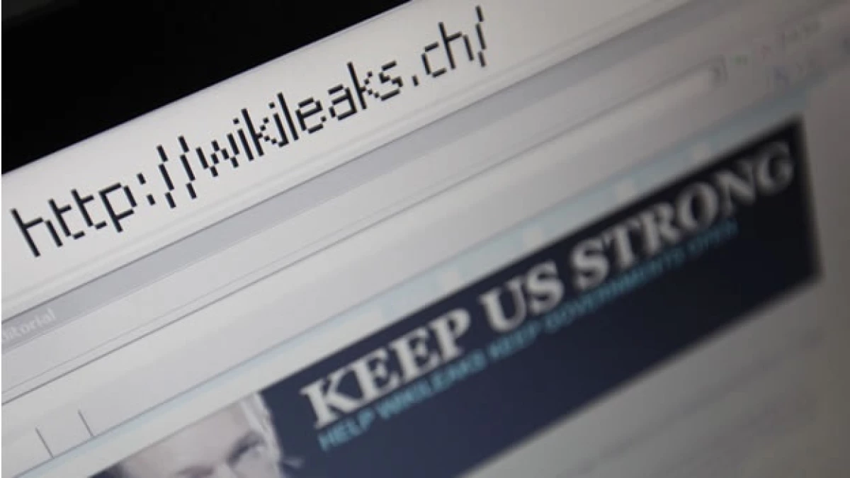 wikileaks