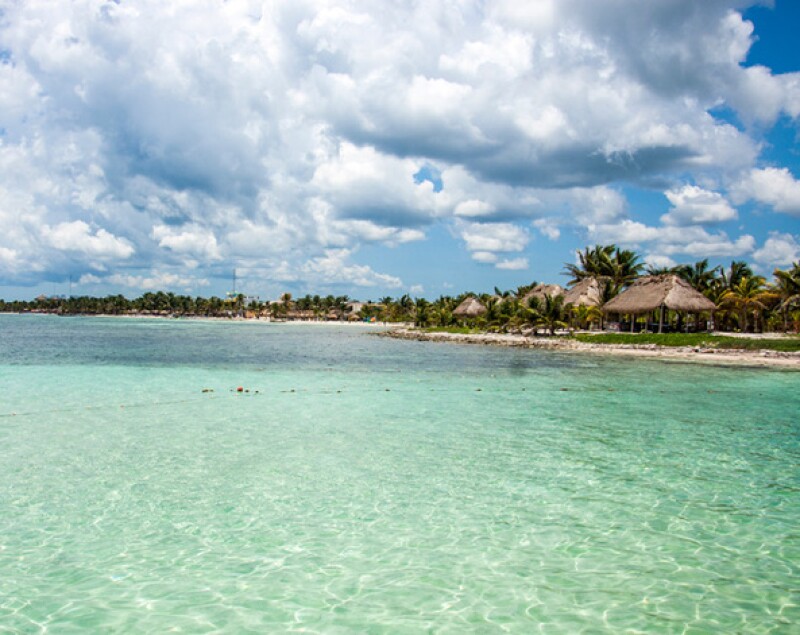 Mahual