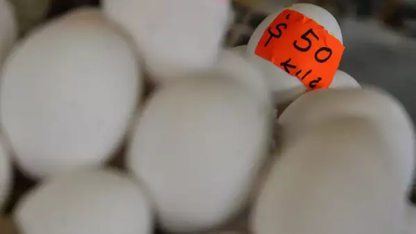 precio-huevo-mexico-2023