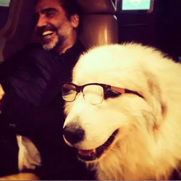 Luka, muy intelectual.