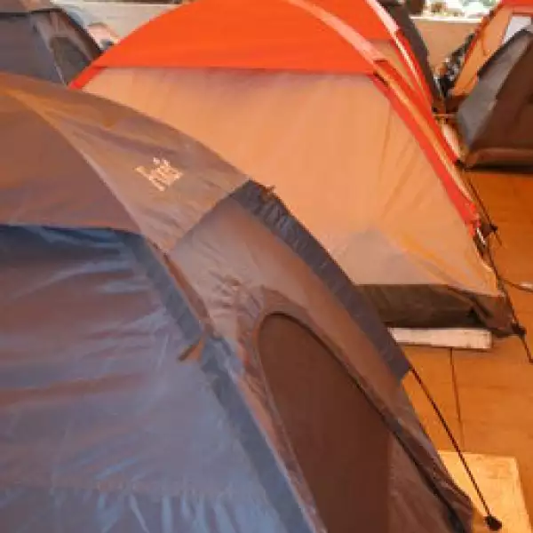 Aspectos. Plantón del Partido Verde Ecologista de México