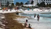 Playas sin sargazo en Cancún Semana Santa 2022