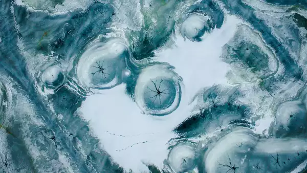 El ojo de un drone